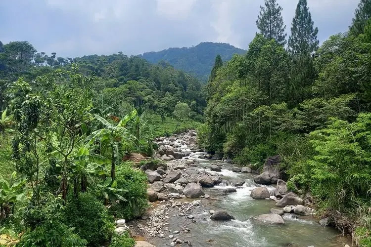 Kabupaten Bogor Siaga Banjir Bandang, Ini Imbauan Bupati Ade Yasin untuk Warga
