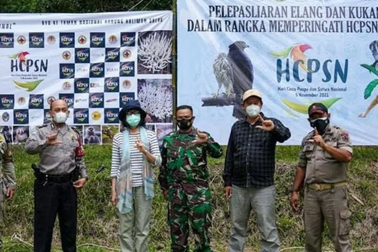 Ki Bogor, Burung Elang Ular Bido Dilepasliarkan ke Habitatnya di TNGHS