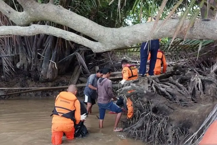 Buaya Mangkudulis Memang Sadis, Pria Tarakan Ditemukan Tewas Diterkam