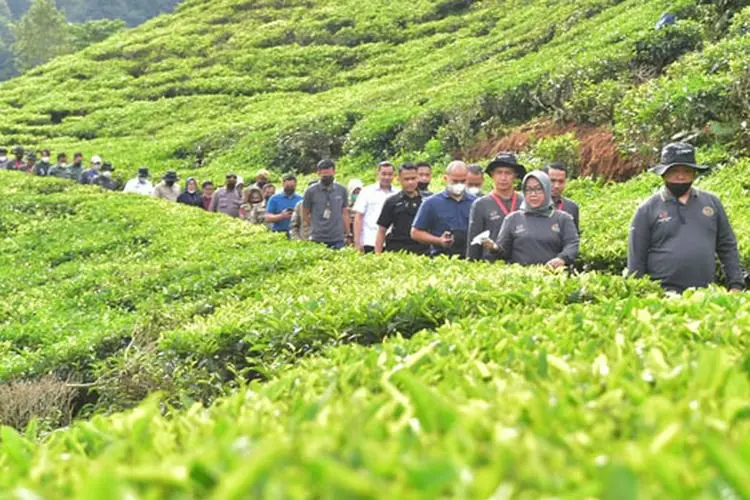 Cegah Jakarta Kebanjiran, Kementerian PUPR Bangun Bendungan, Sumur Resapan hingga Reboisasi di Kawasan Puncak