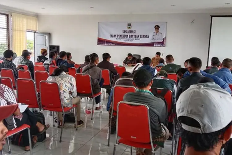 Terdampak Covid-19, 200 Kelompok Peternak di KBB Dapat Bantuan 4.000 Domba Garut