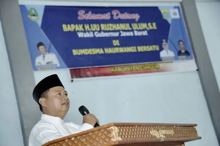 Wagub Uu: BUMDes Dapat Gerakan Ekonomi Desa