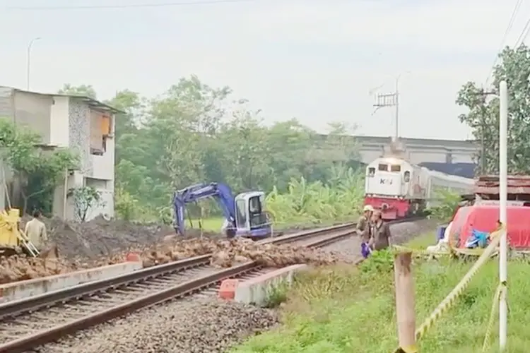 Viral! Video Detik-detik 30 Ekor Bebek Tertabrak Kereta Api di Sidoarjo