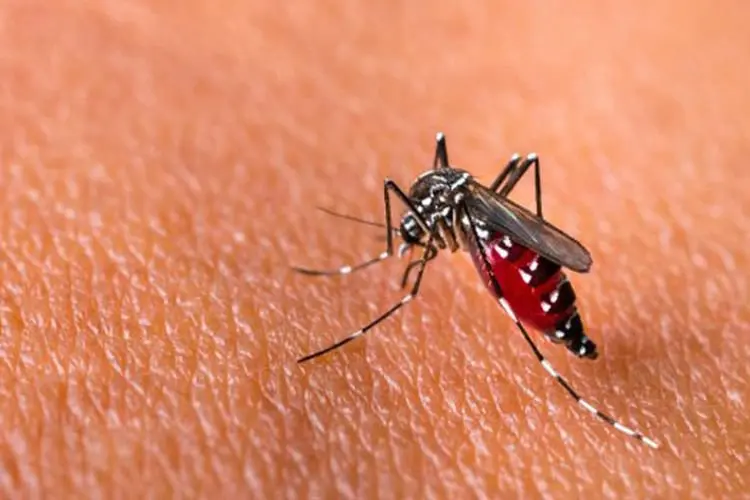 Waspada, Cuaca dan Pelonggaran PPKM di Kabupaten Bandung Tingkatan Kasus DBD