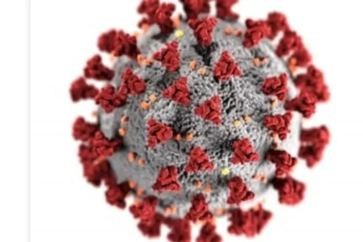 Setelah Delta Muncul Omicron, Ilmuwan: Virus Akan Terus Bermutasi, Corona itu Pintar!