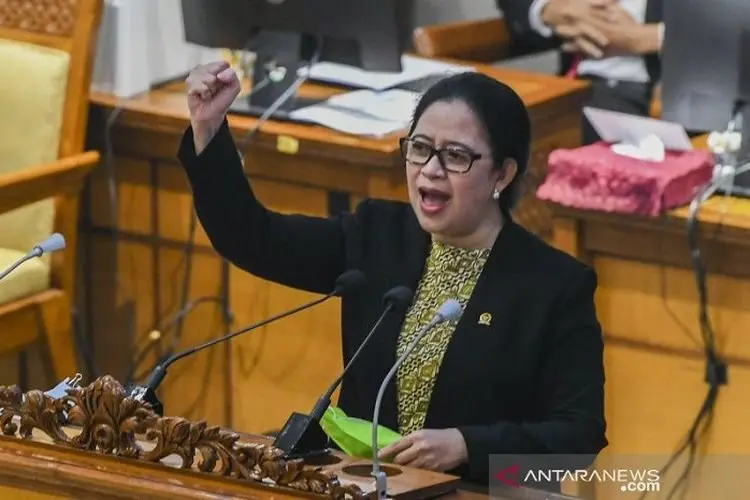 Geram Atas Kasus Yang Menimpa Novia Widyasari, Puan Maharani Angkat Bicara