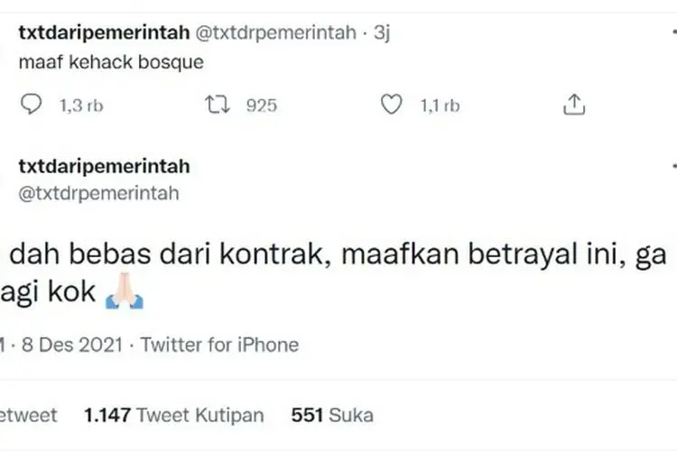 Akun Twitter @txtdrpemerintah Diduga Buzzer Puan Maharani, Begini Reaksi Netizen