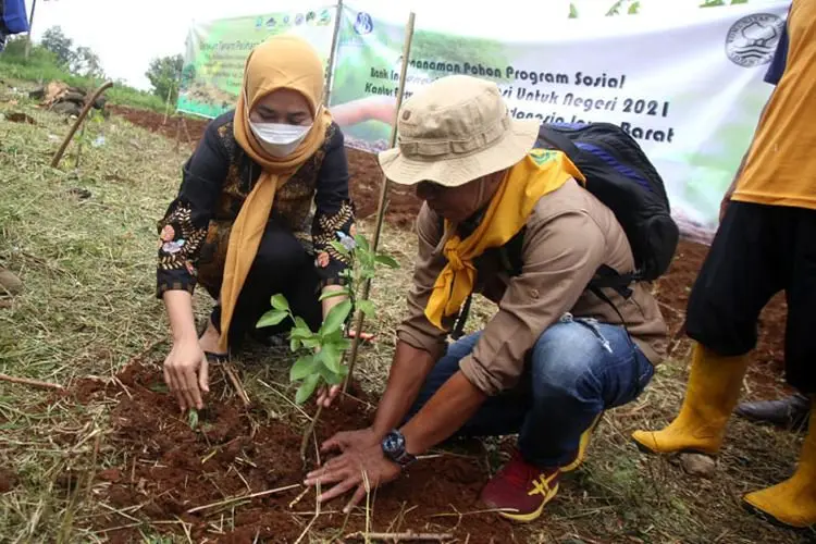 Gagas Green Economy, BI Jabar Tanam 500 Bibit Pohon di Kawawan Bandung Utara