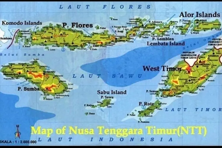 Gempa NTT, Ini Daftar Wilayah yang Siaga dan Waspada Evakuasi, dari NTT, NTB, Sulsel, Sultra, Hingga Maluku