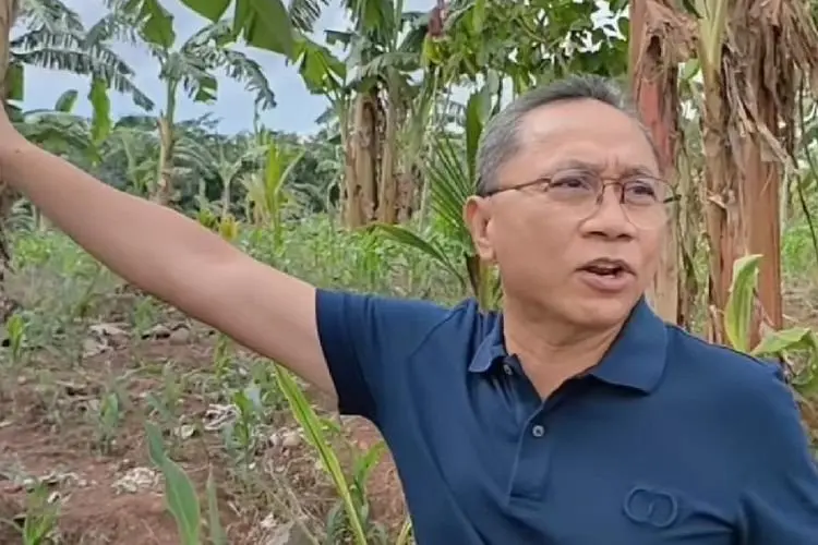 Heboh Zulkifli Hasan Pamer Kebun Kebun Jengkol, Ternyata Terinspirasi Ridwan Kamil
