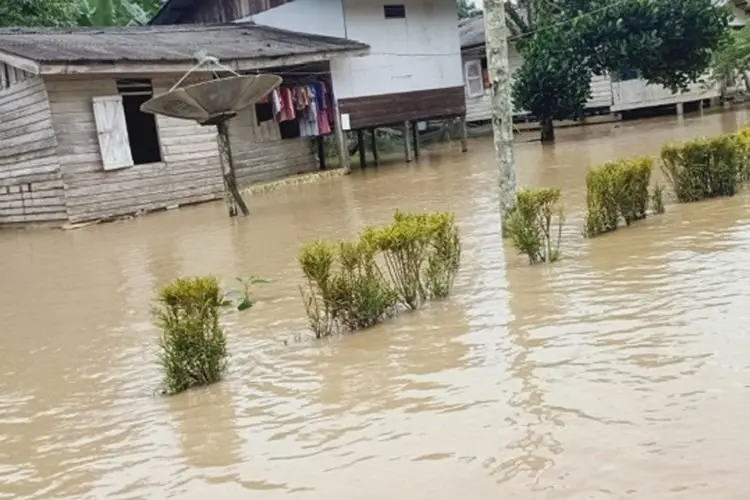 Terjadi Lagi, Daerah Tetangga IKN Baru Penajam Paser Utara Dilanda Banjir, Kali Ini di Desa Bukit Subur