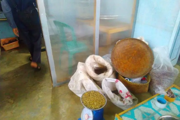 Sempat Raih Penghargaan Dunia,  Kemana Kopi Gununghalu Sekarang?