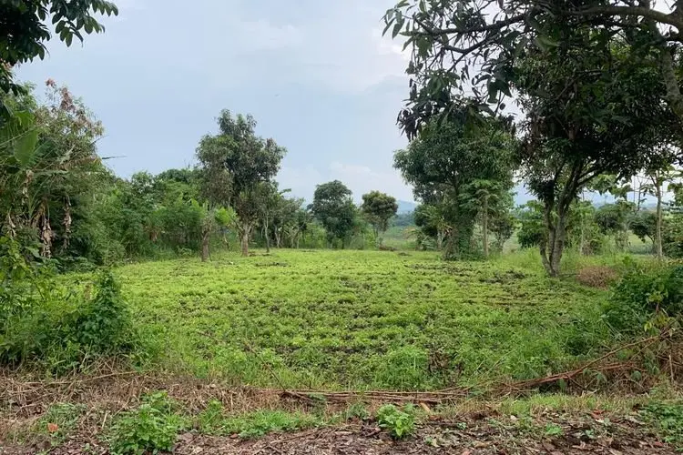PT IP Saguling Tegaskan Lahan Garapan Tak Bisa Dipindahtangankan