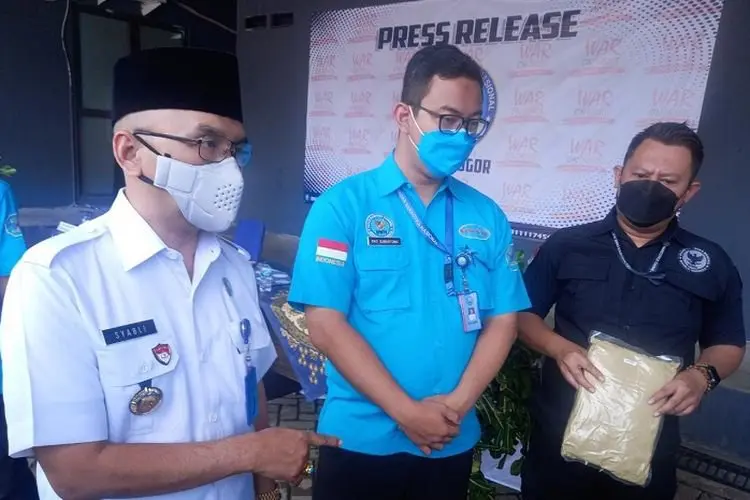 Waspada! Jenis Narkotika Baru 'Kratom' Mulai Beredar di Kabupaten Bogor