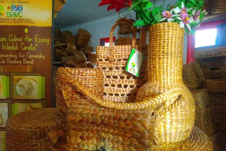 Unik dan Menarik, Kerajinan Eceng Gondok Cipeundeuy Tembus Pasar Nasional