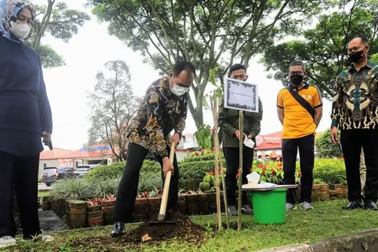 Bentuk Kompensasi Emisi Pembangunan Underpass Sriwijaya, Pemkot Cimahi Tanam 25 Pohon Pengganti