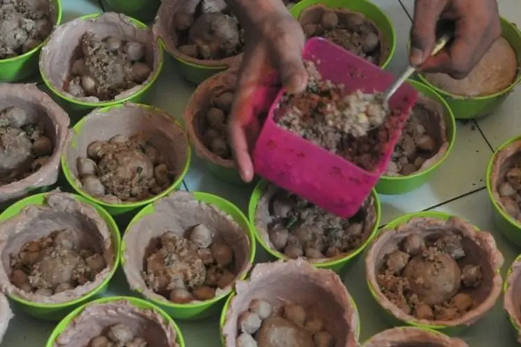 Seblak, Makanan Khas Asal Bandung Ternyata Masuk Daftar Makanan Paling Banyak Dicari di Tahun 2021