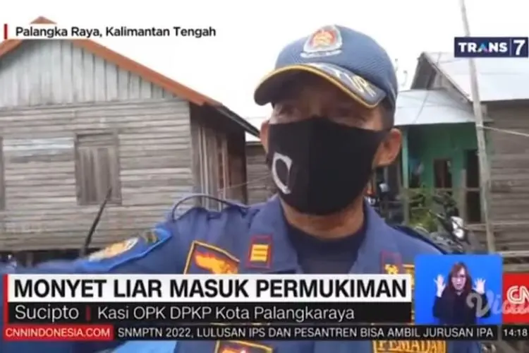 Jadwal Acara Trans 7 Hari Ini Rabu 5 Januari 2022