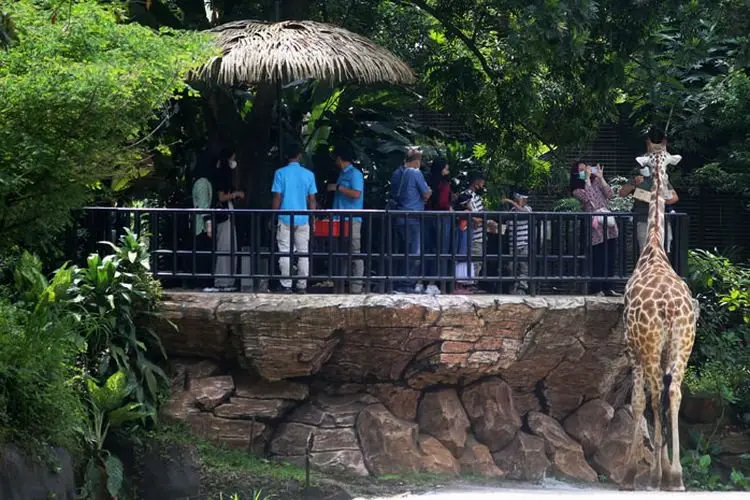 Foto: Peningkatan Kunjungan Wisatawan Bazoga pada Awal 2022