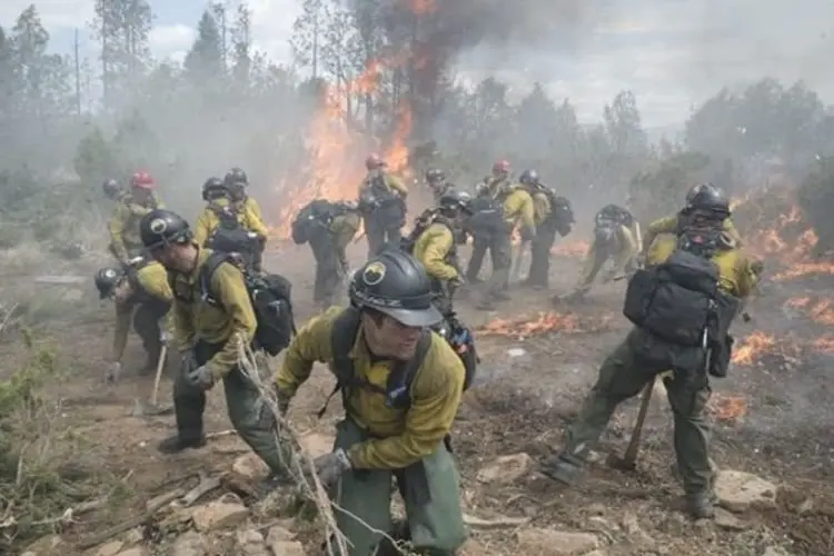 Sinopsis Film Only the Brave: Kisah Pemadam Kebakaran yang Tayang Malam Ini di Bioskop TransTV