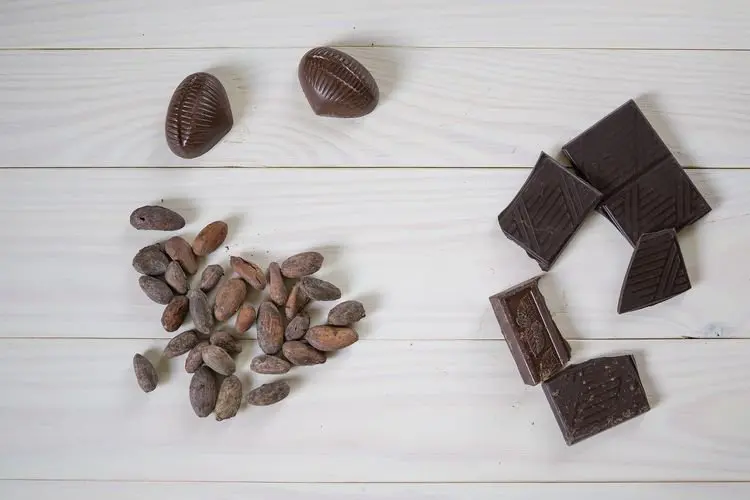 Tingkatkan Fungsi Otak, Ini 6 Manfaat Kesehatan dari Cokelat Hitam