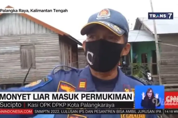 Jadwal Acara TV Hari Ini Rabu 12 Januari 2022, Trans 7