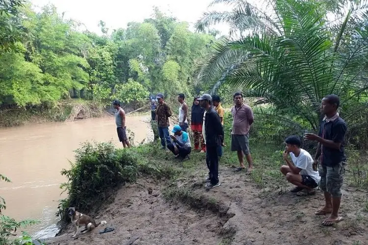 Tadi Pagi Terjadi, Lagi Asyik Mandi, Pelajar SD Ini Diterkam Buaya, Sampai Kini Belum Ditemukan