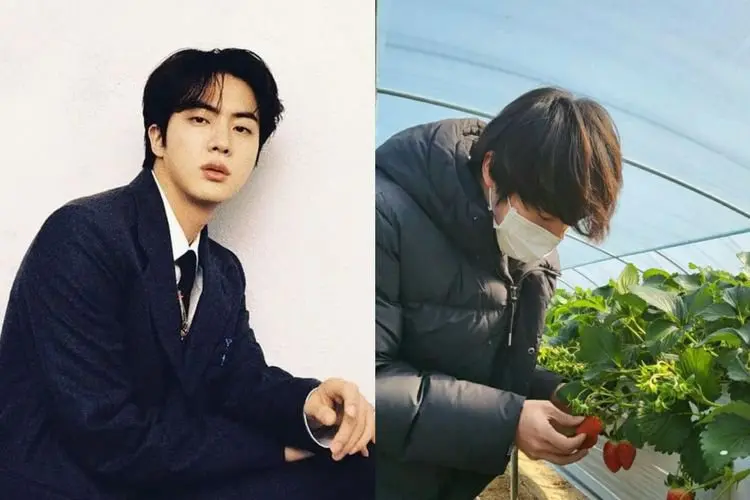 Tak Hanya untuk J-Hope, Jin BTS Kirim Strawberry untuk Kakak Ipar dan Koki Lee Yeon Bok