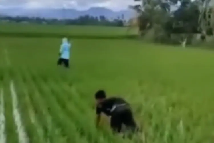 VIRAL! Aksi Kocak Dua Pemuda Berpura-pura Jadi Petani Gara-gara Hindari Kejaran Polisi