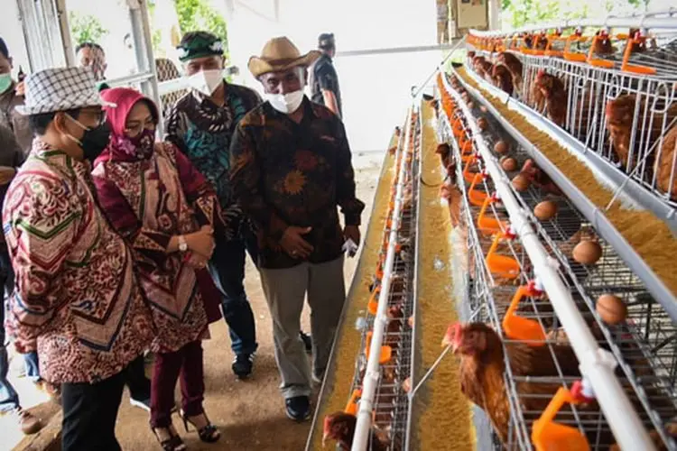 Kabupaten Bandung Jadi Pilot Project Desa Peternakan Terpadu Berkelanjutan Kemendes PDTT