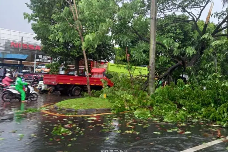 Prakk,,,Pohon Tumbang Timpa Mobil dan Motor Saat Hujan Angin di Bogor