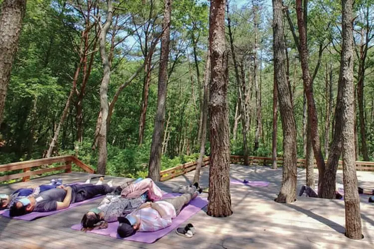 Petualangan Alam yang Menyenangkan: 3 Tempat Camping di Bandung untuk Kamu yang Berjiwa Petualang