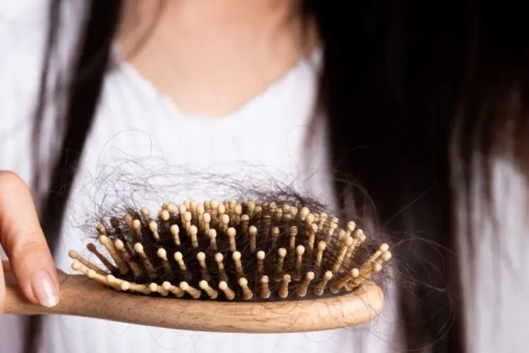 Jangan Stres! Berikut Makanan yang Bisa Dikonsumsi untuk Kurangi Rambut Rontok