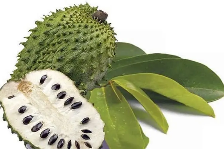 Kolesterol Tinggi? Jangan Panik! Coba Jus Sirsak Alami Ini, Dijamin Segar dan Bikin Nagih!