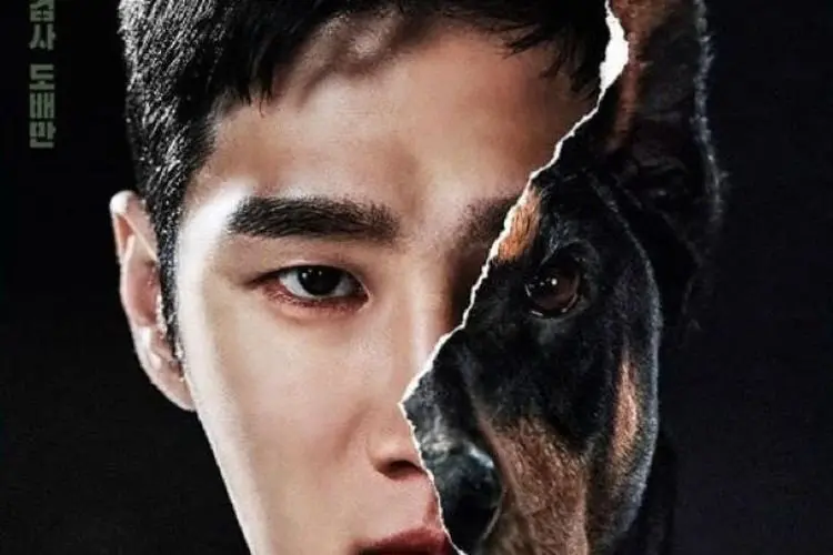 Ada Ahn Bo Hyun, Ini Sinopsis Military Prosecutor Doberman Kisah Para Jaksa Militer