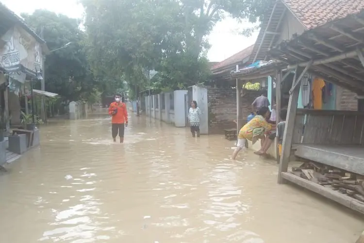 Banjir di Kabupaten Pemalang, 504 KK Mengungsi Hingga 50 Hektar Tambak Dan 155 Hektar Sawah Tergenang