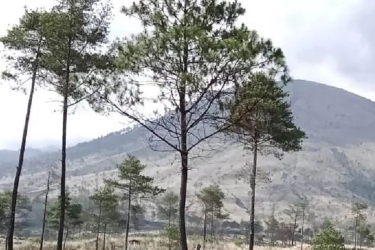 Sudah 3 Hari Warga Garut Ketakutan, Akhirnya Terungkap Asal Suara Gemuruh dari Gunung Guntur