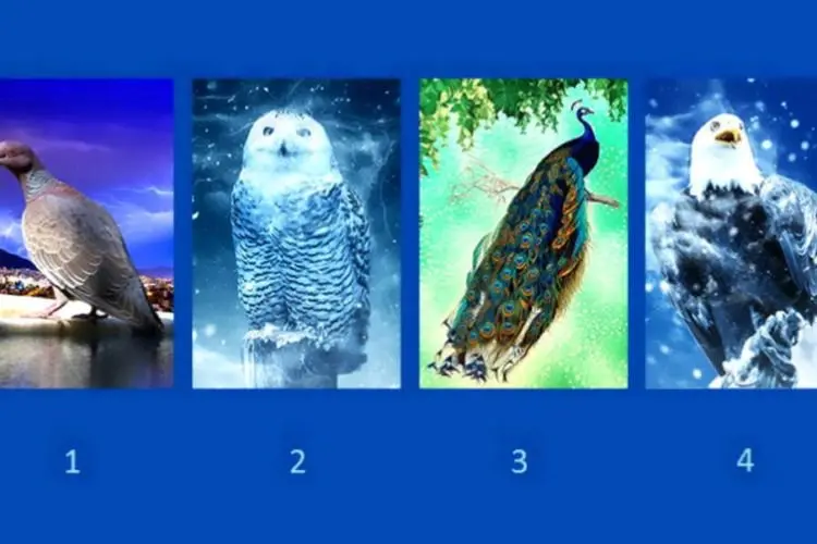 Tes Kepribadian: Pilih Salah Satu Burung Ini, Temukan Kekuatan dan Kelemahan Anda
