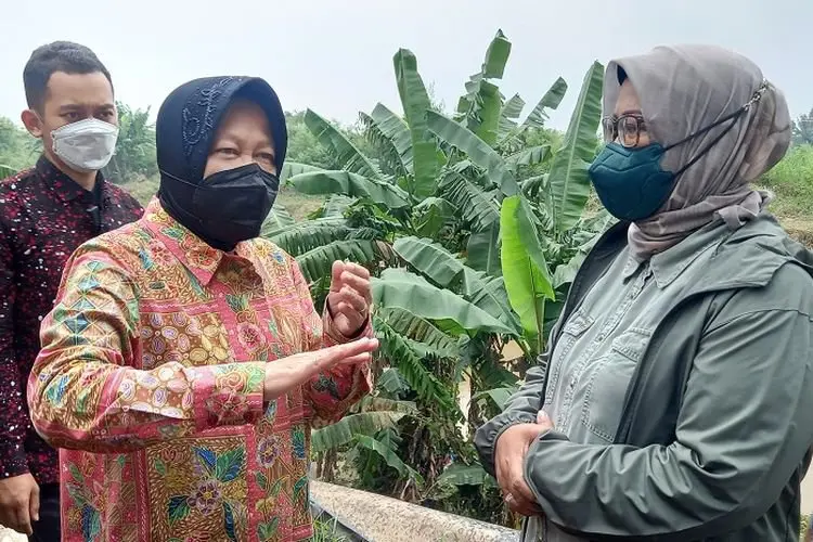 Mensos Risma Kunjungi Lokasi Banjir di Bojong Kulur, 386 Korban Sedang Isoman Covid 19, Begini Reaksinya..