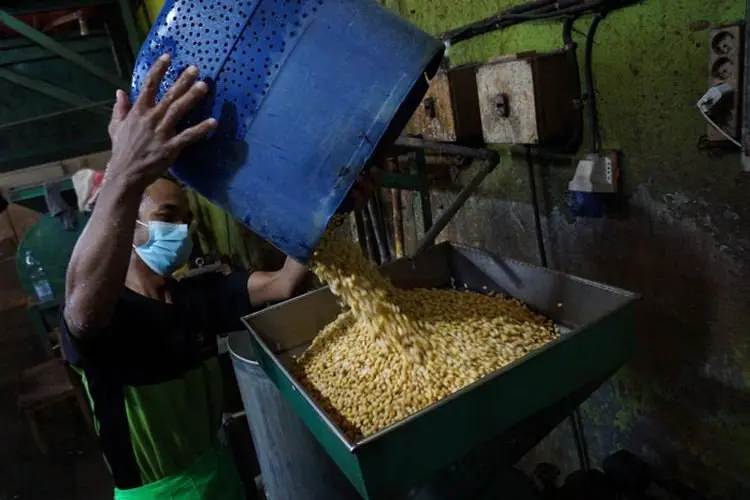 Pengrajin Tahu di Bandung Mogok Produksi, Imbas Kenaikan Kacang Kedelai