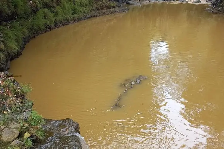 Hendak Bersihkan Sampah, Kakek Goci Hilang Setelah Terperosok di Bantaran Sungai Ciliwung