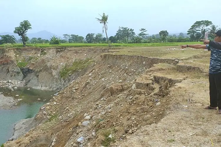 Farhan Negosiasi dengan BPN soal Lahan Sawah Dilindungi yang Tak Lagi Berfungsi