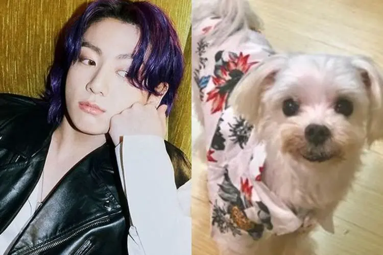 Setelah 20 Tahun Bersama, Anjing Kesayangan Jungkook BTS Gureum Meninggal, ARMY Ikut Terpukul