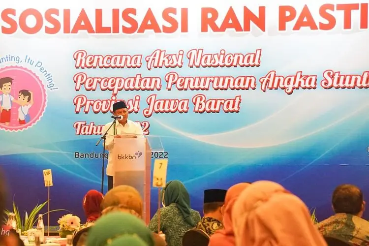 Wagub Jabar Minta Seluruh Daerah Bentuk Tim Percepatan Penurunan Stunting