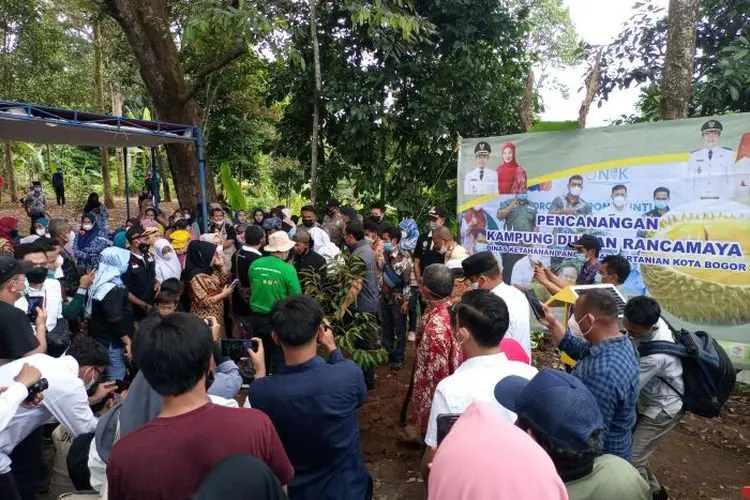 All About Durian Kini Hadir di Kampung Wisata Durian Kota Bogor