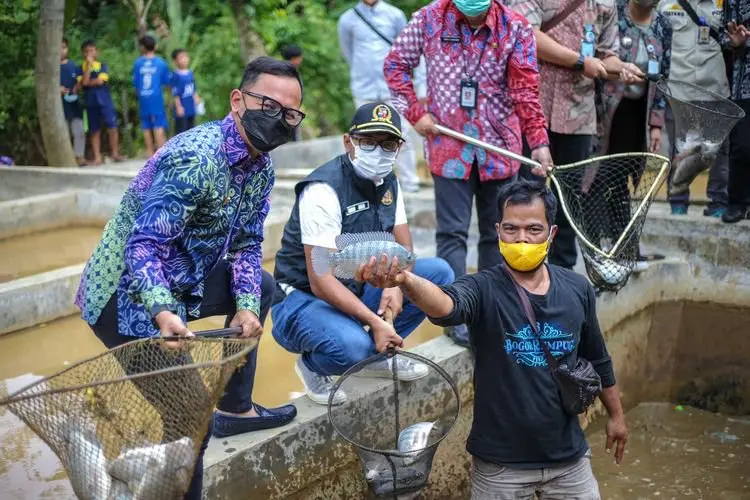 Benah Kampung Untuk Sejahterakan Warga, Bima Tertarik Berternak Domba dan Kambing