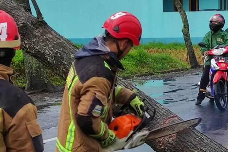 Hujan Angin, Pohon dan Tiang Listrik Rubuh di Banyuresmi dan Garut Kota