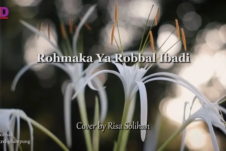 Lirik Sholawat Rohmaka Ya Robbal Ibad Latin