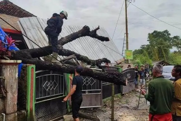 Tertimpa Pohon Tumbang, Rumah Yayat di Garut Nyaris Hancur
