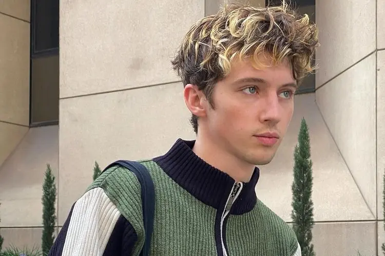 Lirik Lagu Strawberries and Cigarettes â Troye Sivan
